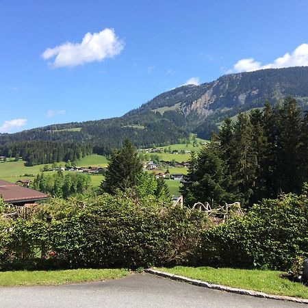 Ferienwohnung Wieser Fieberbrunn Dış mekan fotoğraf