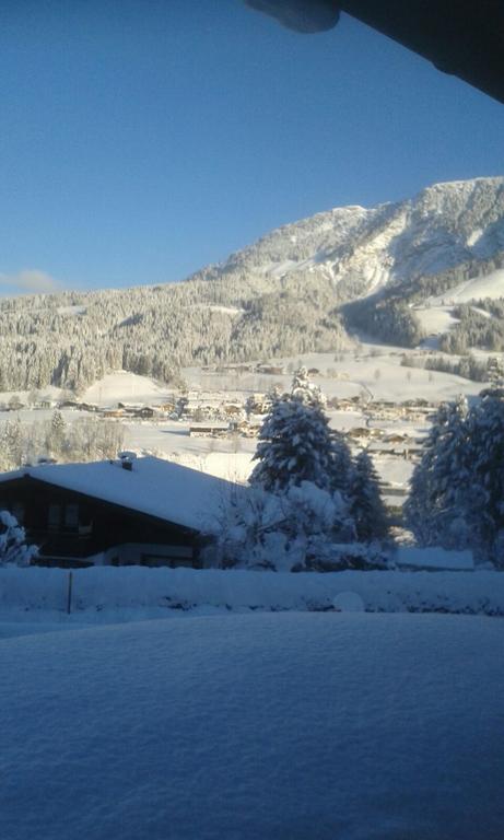 Ferienwohnung Wieser Fieberbrunn Dış mekan fotoğraf